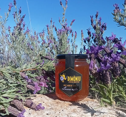 Italian honey from lavender flowers, 500 g (Miele di Lavanda Selvatica) 