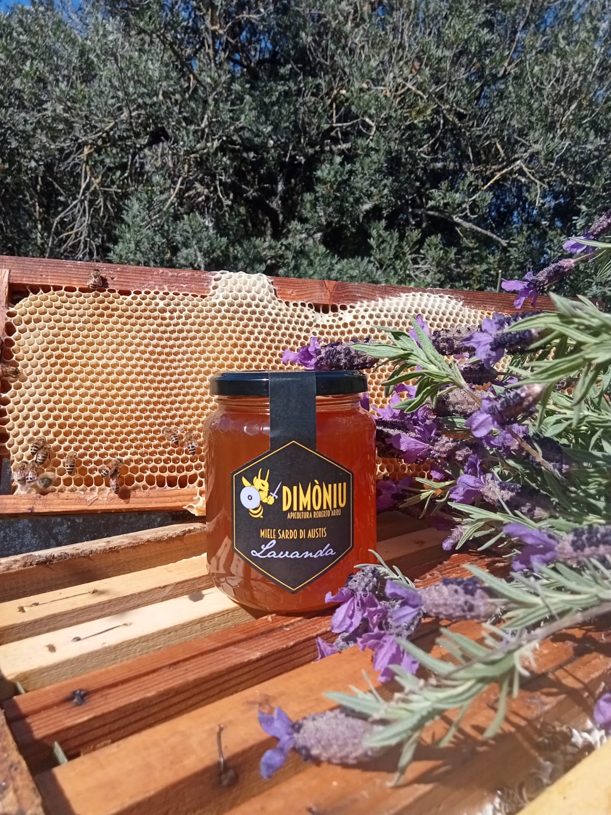 Italian honey from lavender flowers, 500 g (Miele di Lavanda Selvatica) 